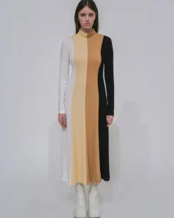 COLORBLOCK TURTLENECK DRESS