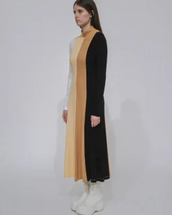 COLORBLOCK TURTLENECK DRESS
