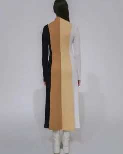 COLORBLOCK TURTLENECK DRESS