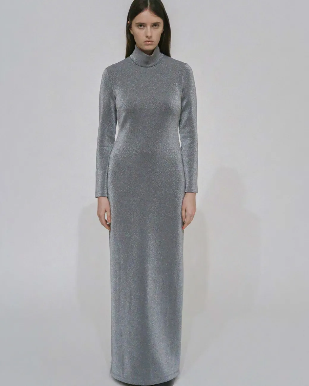 FITTED TURTLENECK MAXI DRESS - LUREX