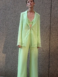 Sequin Blazer