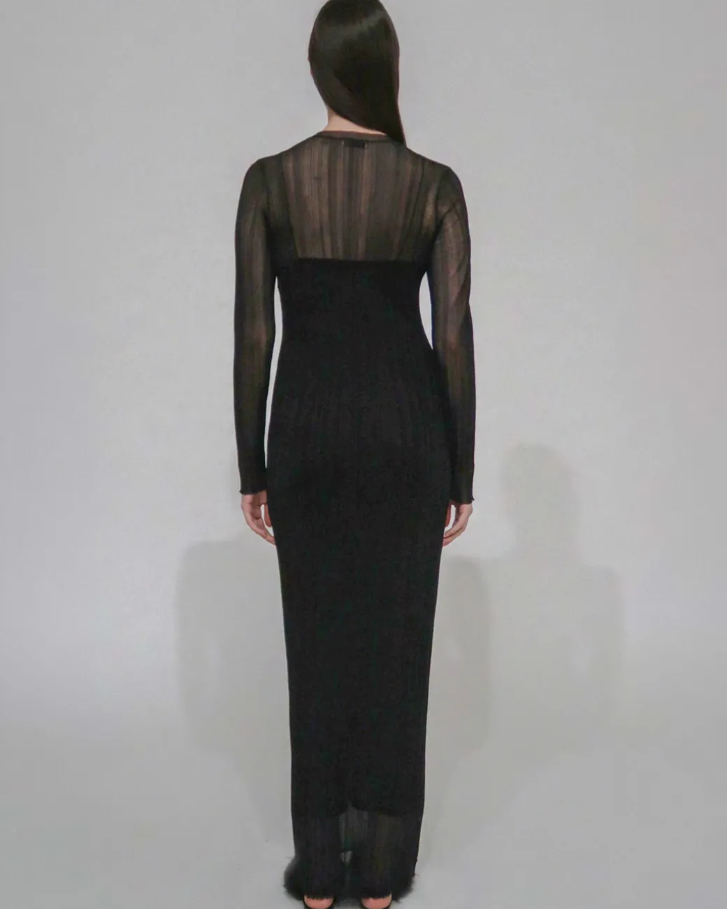 SHEER PLISSE LONG SLEEVE DRESS